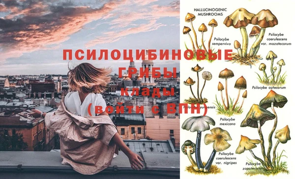 СК Наволоки